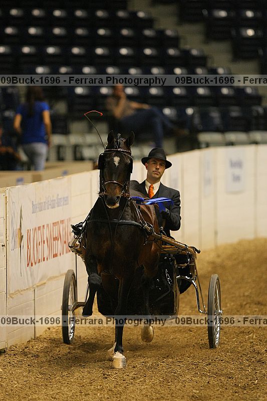 Proof 09buck-1696