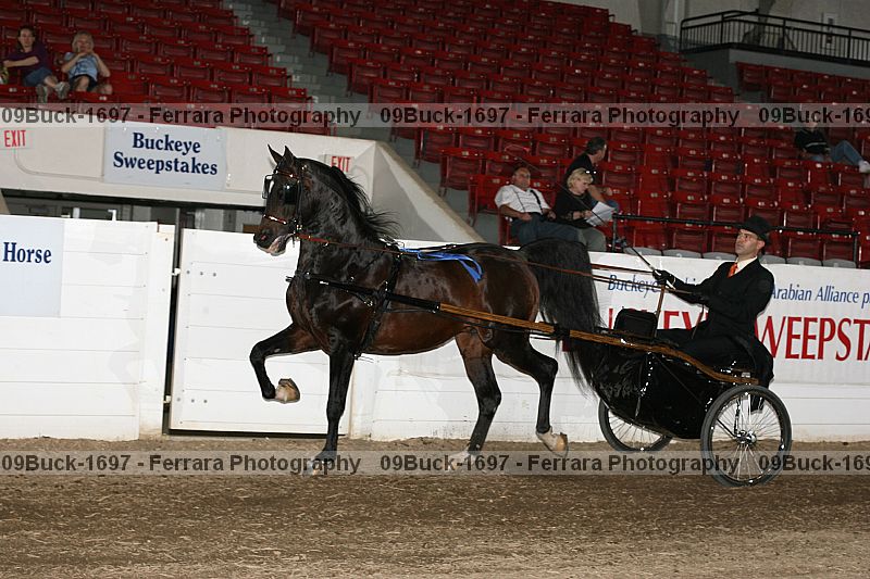 Proof 09buck-1697