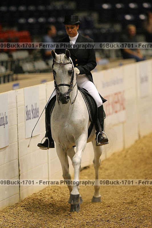 Proof 09buck-1701