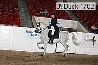 09buck-1702 proof