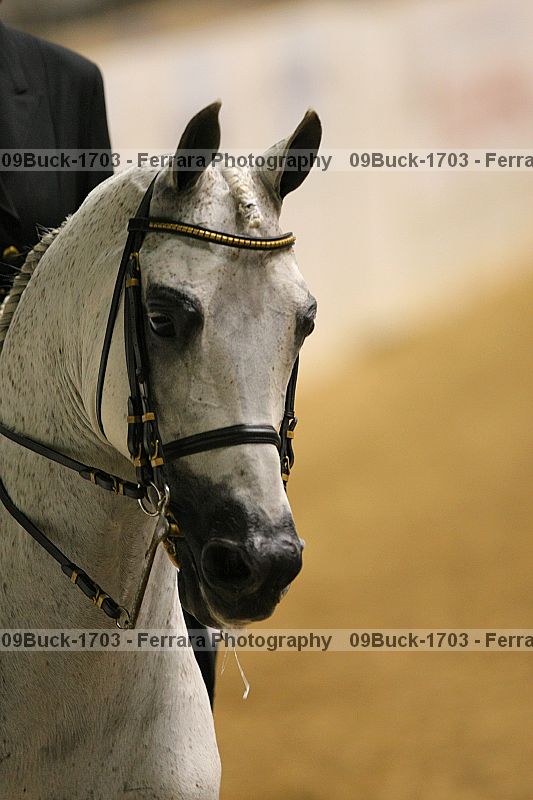 Proof 09buck-1703
