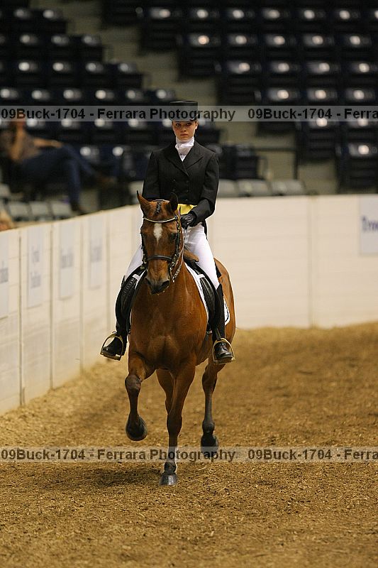 Proof 09buck-1704