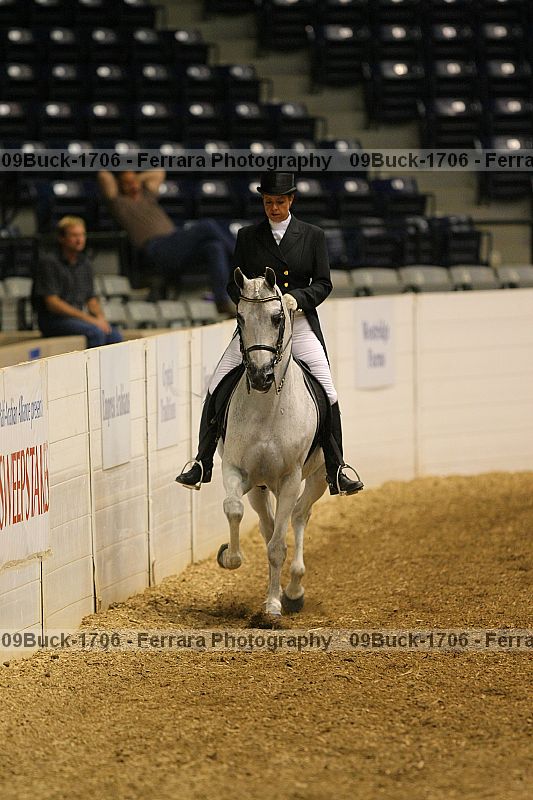 Proof 09buck-1706