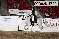 09buck-1708 proof