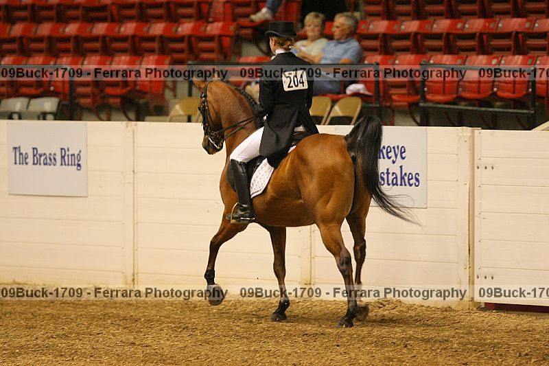 Proof 09buck-1709