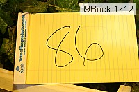09buck-1712 proof