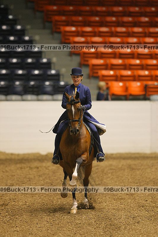 Proof 09buck-1713