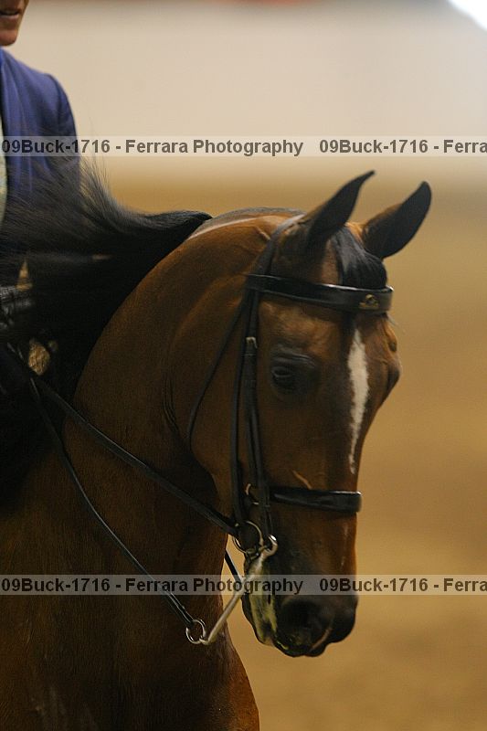 Proof 09buck-1716