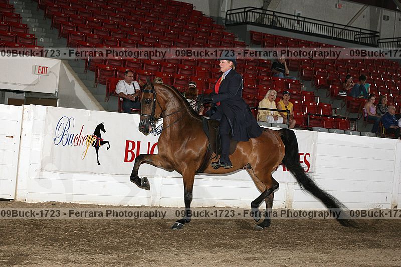 Proof 09buck-1723
