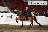 09buck-1723 proof