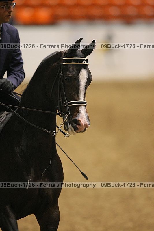 Proof 09buck-1726