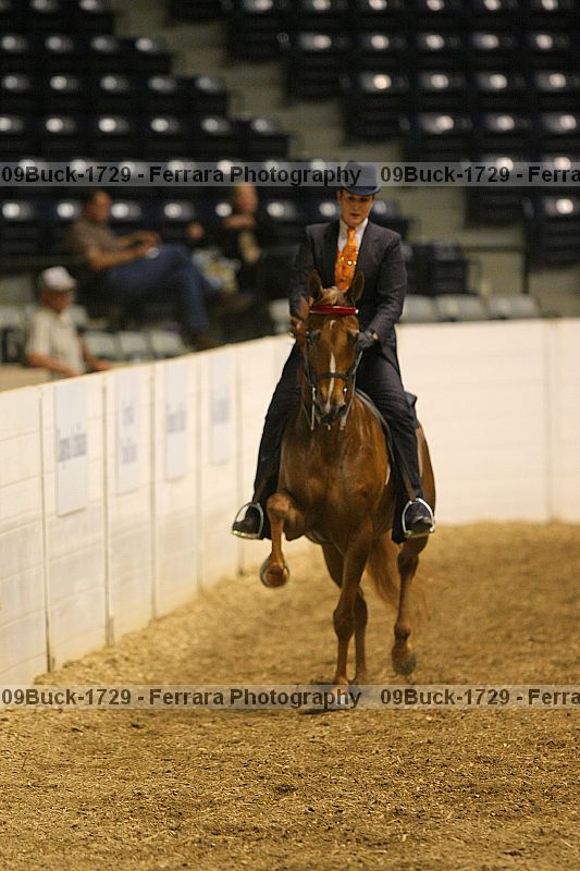 Proof 09buck-1729