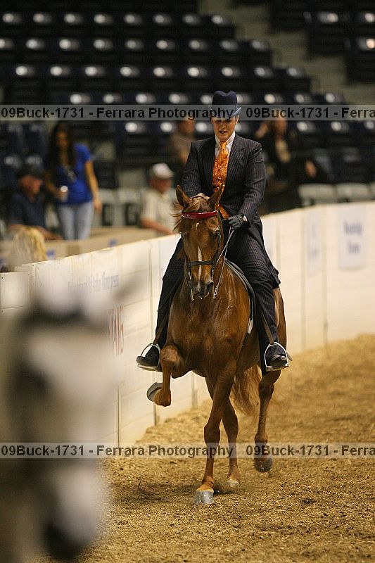 Proof 09buck-1731