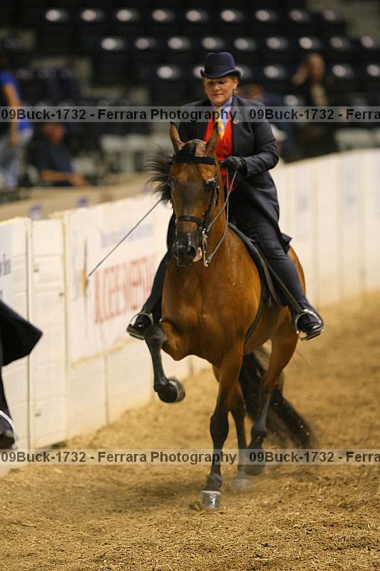 Proof 09buck-1732