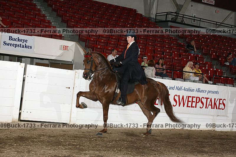 Proof 09buck-1733