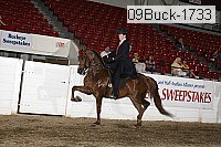09buck-1733 proof