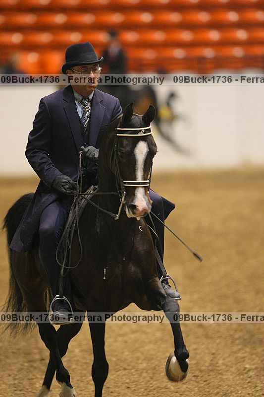Proof 09buck-1736