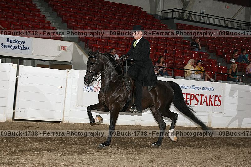 Proof 09buck-1738