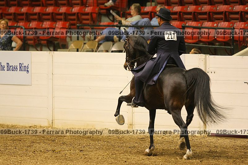 Proof 09buck-1739