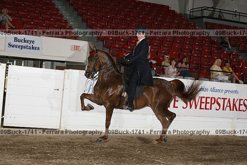 Proof 09buck-1741