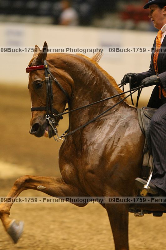 Proof 09buck-1759
