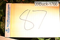 09buck-1766 proof