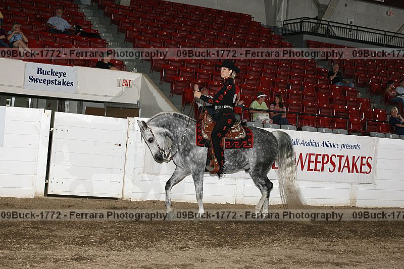Proof 09buck-1772