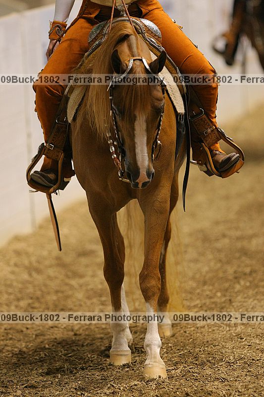 Proof 09buck-1802