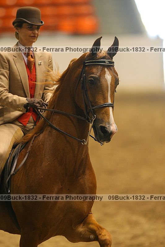 Proof 09buck-1832
