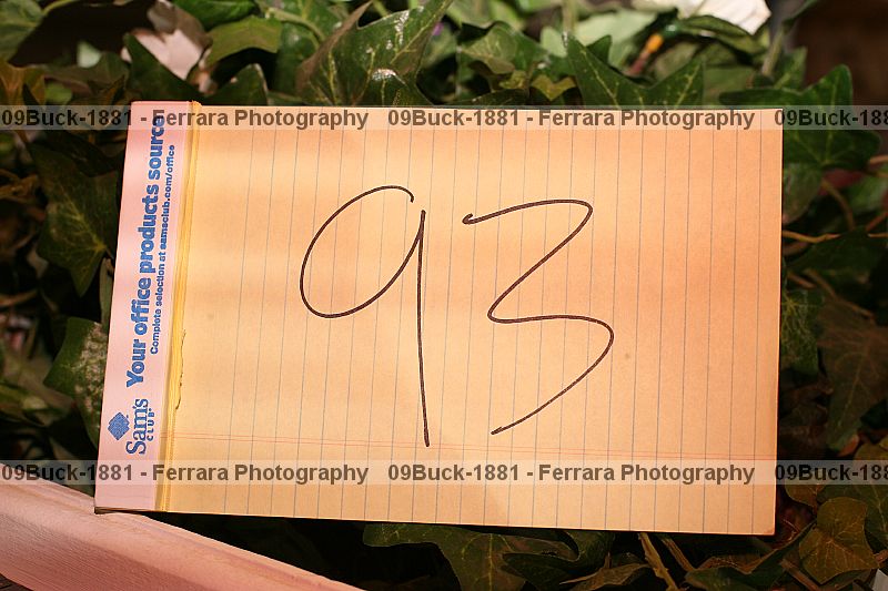 Proof 09buck-1881