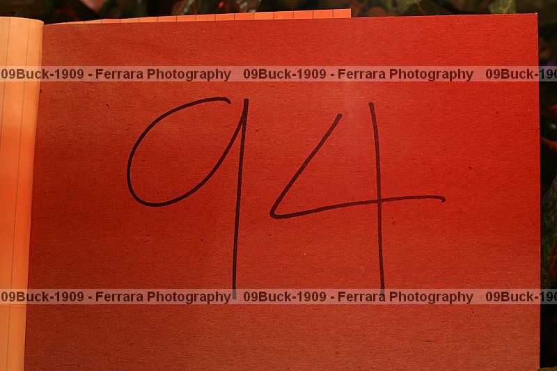 Proof 09buck-1909