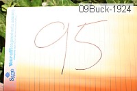 09buck-1924 proof
