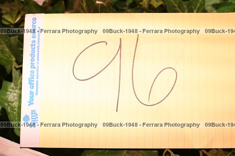 Proof 09buck-1948