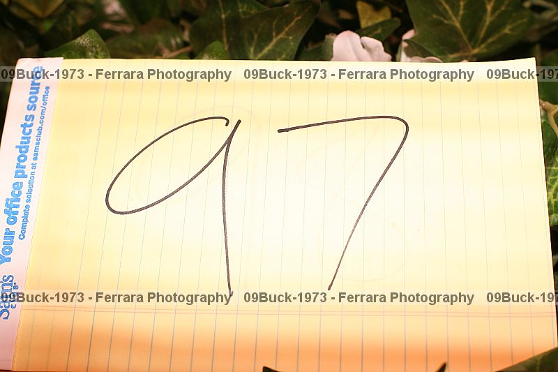 Proof 09buck-1973