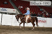 09buck-1990 proof
