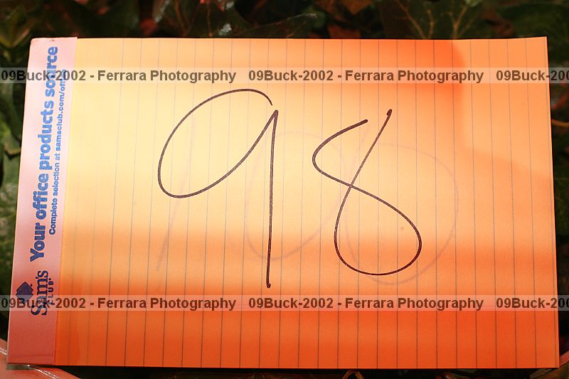 Proof 09buck-2002