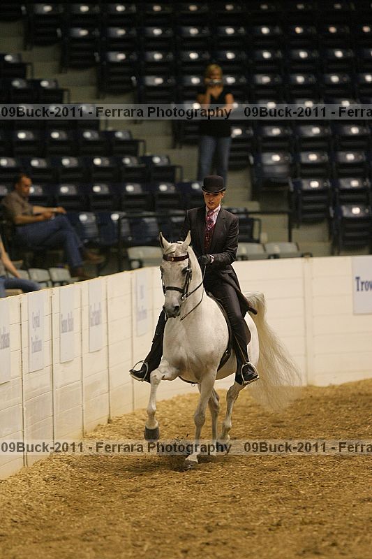 Proof 09buck-2011