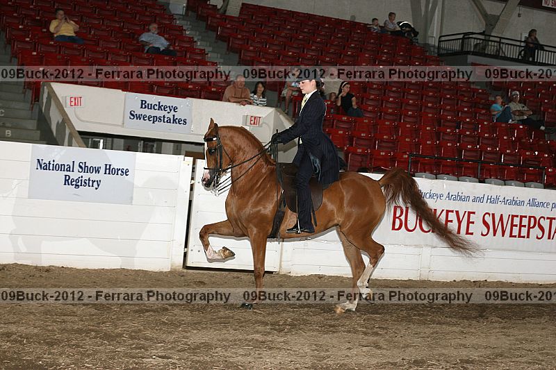 Proof 09buck-2012