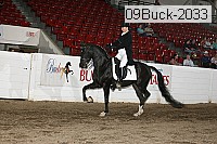 09buck-2033 proof