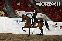 09buck-2041 proof