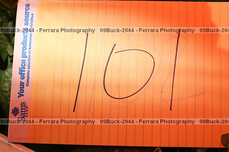 Proof 09buck-2044