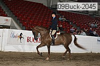 09buck-2045 proof