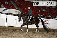 09buck-2061 proof