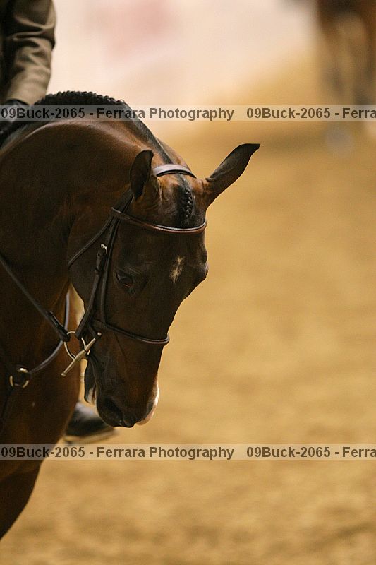 Proof 09buck-2065