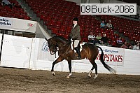 09buck-2066 proof
