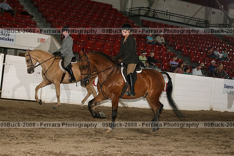 Proof 09buck-2068