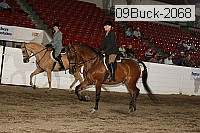 09buck-2068 proof