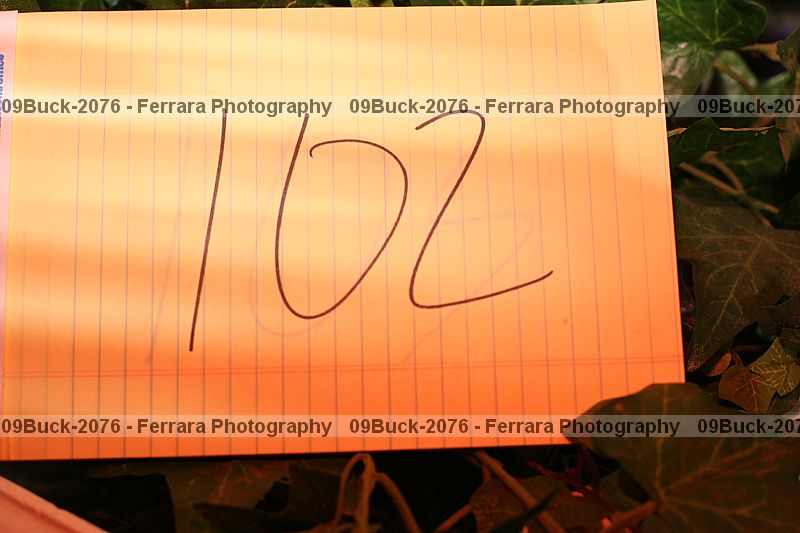 Proof 09buck-2076