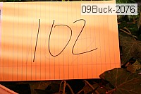 09buck-2076 proof