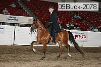09buck-2078 proof